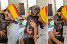 Dog Is Dad’s Forever Baby the Way She Loves Giving Him Little Hugs