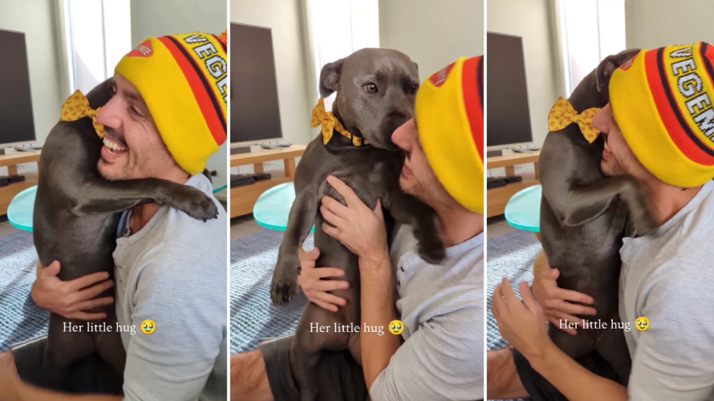 Dog Is Dad’s Forever Baby the Way She Loves Giving Him Little Hugs