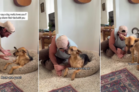 Rescue Dog Lets Dad Into His Bed, Makes Room for Him in His Safe Spot
