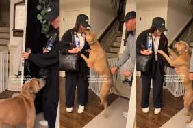 Dog Reunites With Parents After Long Time Apart & It Feels Like Forever