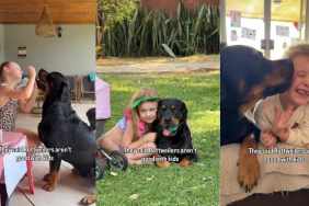 Dog Is the Best Companion This Little Girl Could Ask For, Here’s Proof