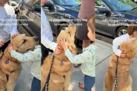 Golden Retriever Is an Absolute Gem the Way He Acts Around Little Kids
