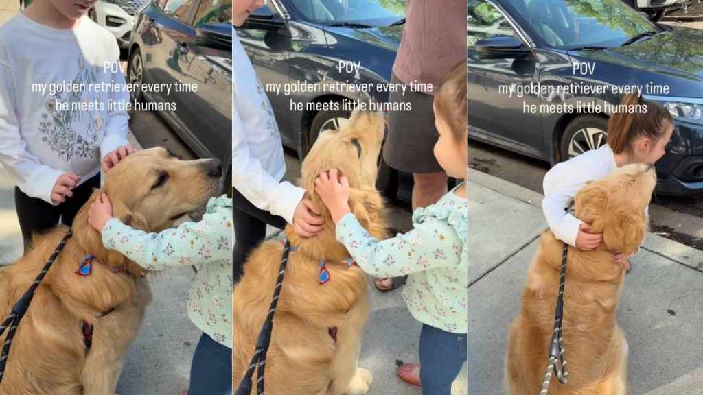 Golden Retriever Is an Absolute Gem the Way He Acts Around Little Kids