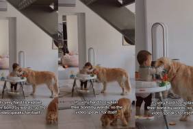 Golden Retriever’s Bond With Baby Is Something Straight Out of a Fairytale
