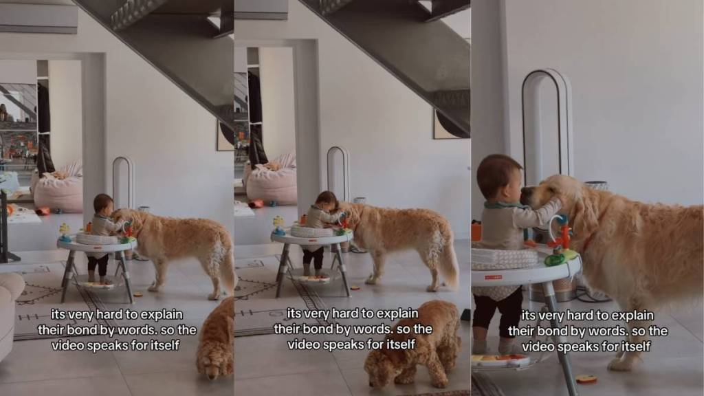 Golden Retriever’s Bond With Baby Is Something Straight Out of a Fairytale