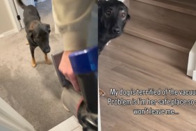 Dog Is ‘Terrified’ of the Vacuum but Still Follows Mom for Sweet Reason