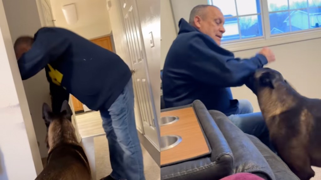 Big Dog Drops Hints That Grandpa Might Be His Favorite Person Like This