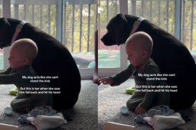 Dog Immediately Gets Protective After Little Baby Falls & Hits His Head