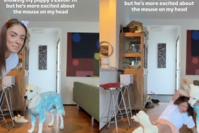 Mom Tries To Show Puppy’s Easter Outfit but It Turns Into an Epic Fail