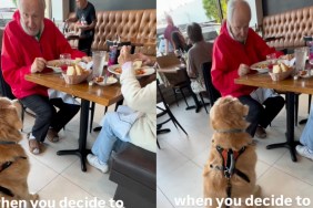 Owner Catches Golden Retriever Crashing Couple's Date