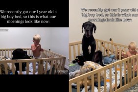 Toddler Shares His New ‘Big Boy’ Bed With Dog