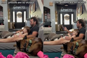 ‘Vicious’ Dog Showers Little Boy With Endless Love