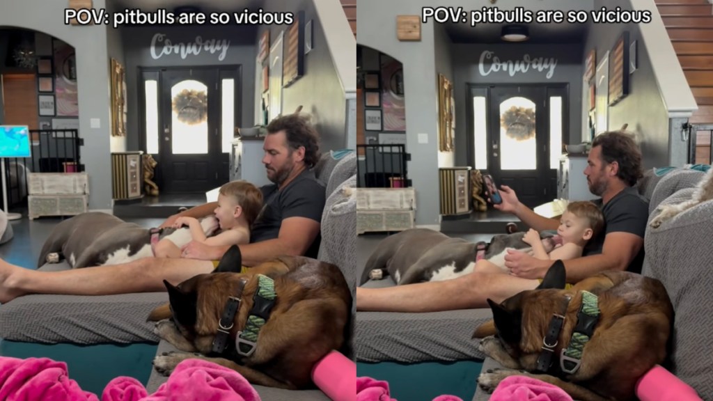 ‘Vicious’ Dog Showers Little Boy With Endless Love