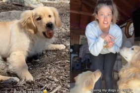 Dog & Puppy Have Strikingly Different Reactions to Egg