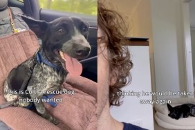 Rescue Dog ‘Scared’ of Losing His Home Again Learns To Trust Dad