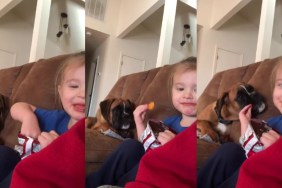 Puppy & Little Boy Show That Sharing Is the Ultimate Form of Love