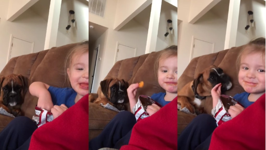 Puppy & Little Boy Show That Sharing Is the Ultimate Form of Love