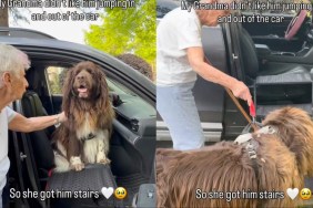 Dog Can Always Count on Grandma To Be There & Look Out for Him