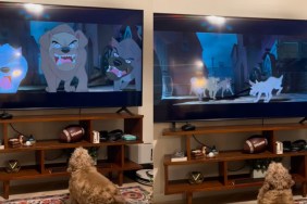 Cocker Spaniel Feels Empathy While Watching Animated Dog Movie