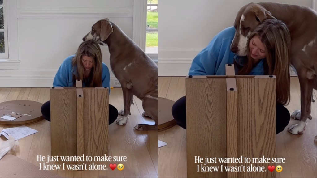 Big Dog Has the Sweetest Way of Letting Mom Know That She Isn’t Alone