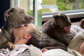 Rescue Pup Cuddles Toys in Bed as Dad Comes To Wake Him in the Morning