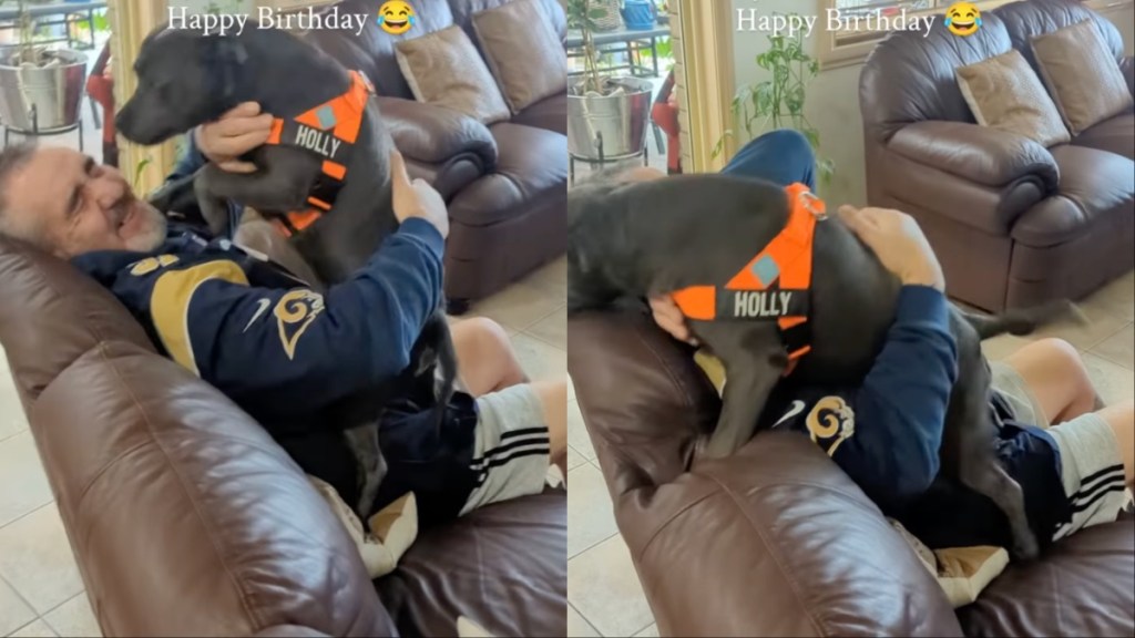 Dog Sprints to Grandpa When They Arrive at His House for His Birthday