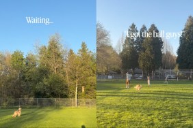 Dog Gets Confused Between Tennis Ball & Moon While Playing