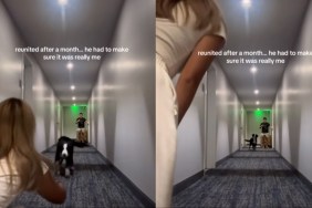 Dog Reunites With Mom After a Month, but Pauses Before Running to Her