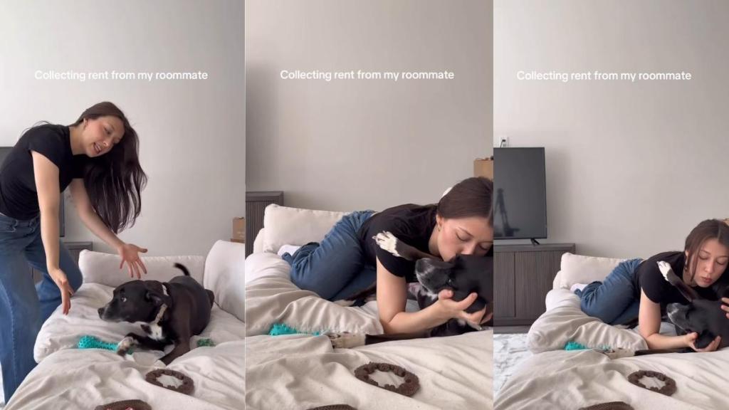 Dog Must Pay Mom the Most Adorable Kind of Rent as Her Roommate