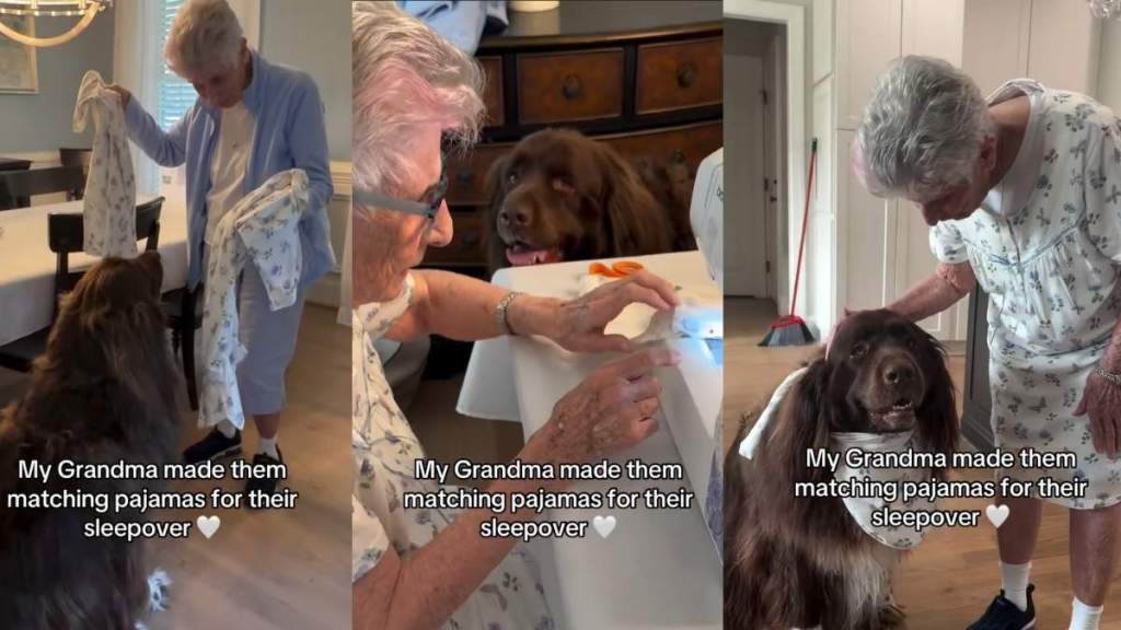 Big Dog’s Sleepover With Grandma Isn’t Complete Without Matching PJs