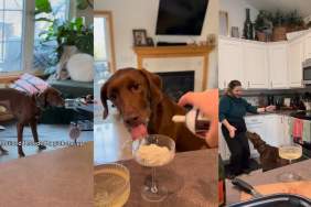 Dog & Mom Enjoy Happy Hour Dance in the Kitchen While Cooking Dinner