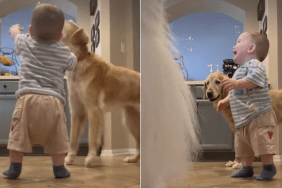 dog baby bubbles video
