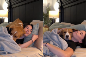 rescue dog mom cuddles video