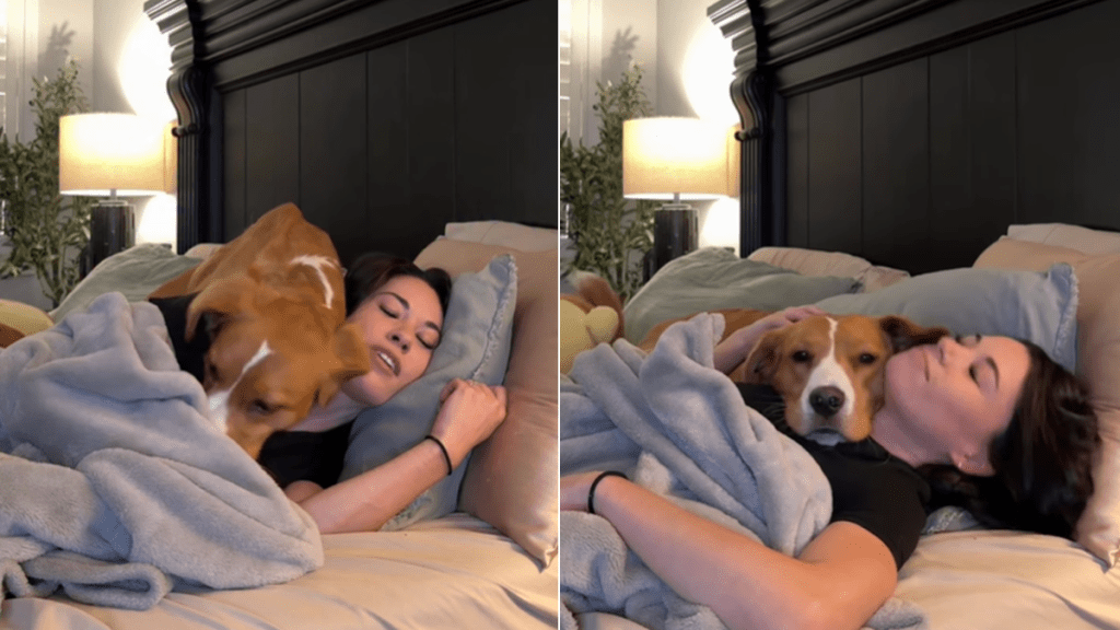 rescue dog mom cuddles video