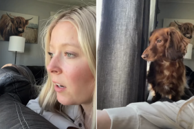 dog owner inspect outside