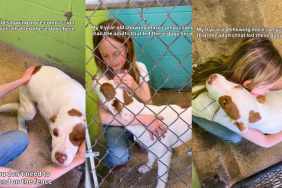 Shelter Dog Is Comforted by a Kind Little Girl With Snuggles & Kisses