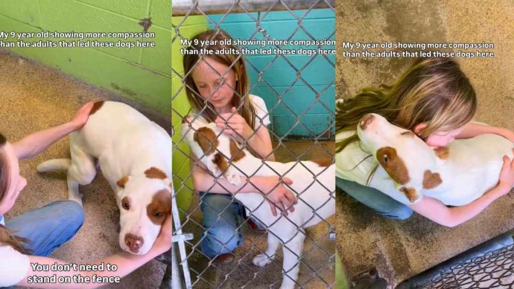 Shelter Dog Is Comforted by a Kind Little Girl With Snuggles & Kisses