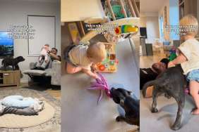 Dog Does More Than Just Cope With Little Girl, He Becomes Her Happiness