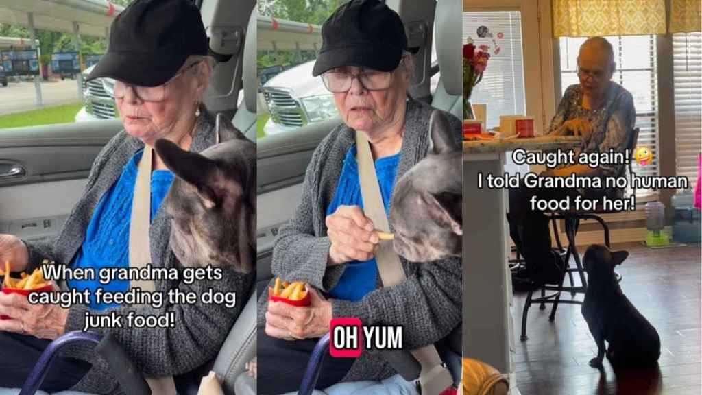 Dog & Grandma Are Partners in Crime When It Comes To Sharing Human Food