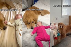 Dog Has Been Baby’s Protector & Companion Since First Week