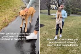 Dog Visits Grandparents’ House & Throws a Tantrum When It’s Time To Leave