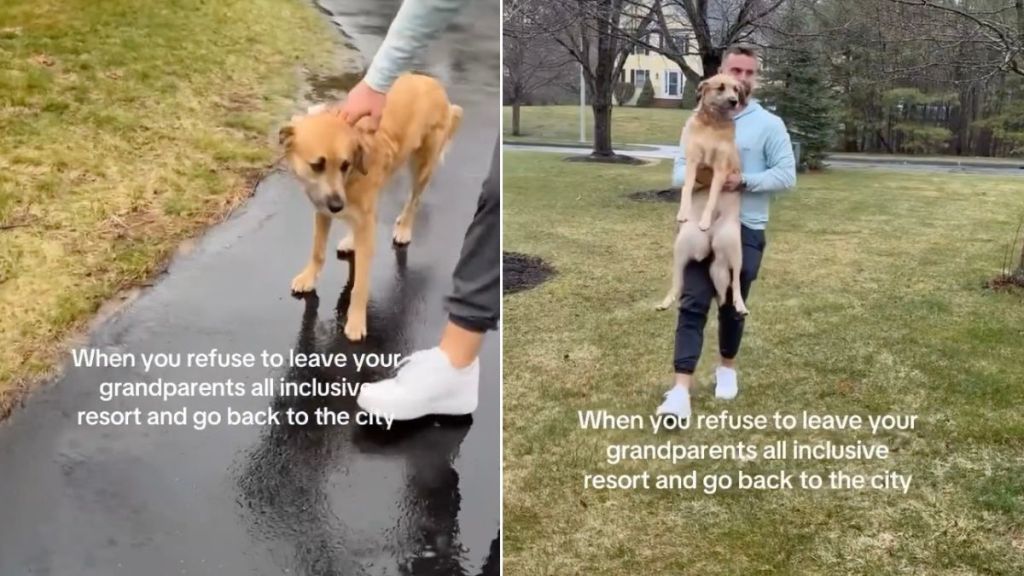 Dog Visits Grandparents’ House & Throws a Tantrum When It’s Time To Leave