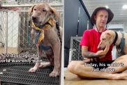 Rescue Dog Living in ‘Fear’ Finally Experiences a World Full of Love