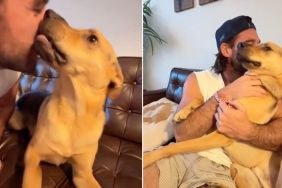 Rescue Dog Reunites With Dad After Just an Hour, Like It’s Been Forever