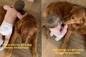 Golden Retriever Slowly Warms up to Baby & Becomes Her Cuddle Buddy