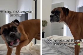 Dog Wants Mom To Put Her Sun Hat on but Thinks Her Services Are ‘Slow’