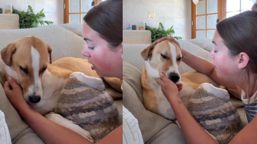 Angel Reese Pairs See-Through Crop Top With Bikini Bottoms for Campaign