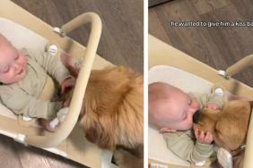 Owner Captures Heartwarming Bonding Moment Between Dog & Baby