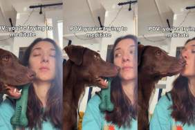 Dog Observes Owner Very Closely During Meditation