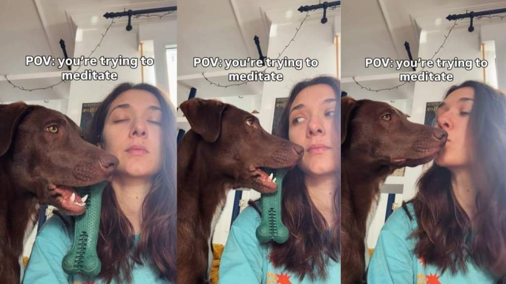 Dog Observes Owner Very Closely During Meditation